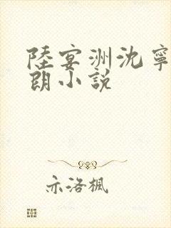 陆宴洲沈宁陆子朗小说封面