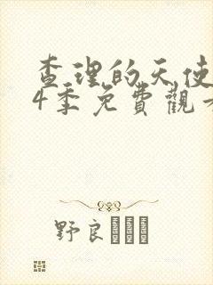 查理的天使 第4季免费观看完整版高清