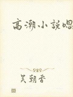 高潮小说嗯嗯嗯封面