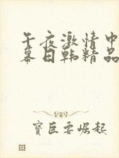 午夜激情中文字幕日韩精品