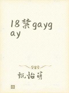18禁gaygay
