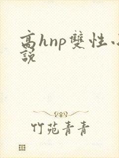 高hnp双性小说