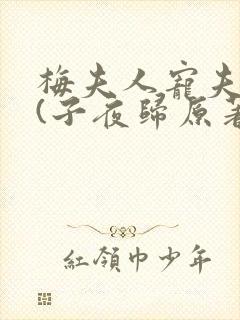 梅夫人宠夫日常(子夜归原著小说)