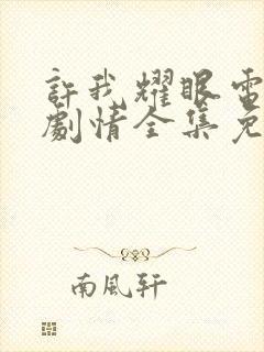 许我耀眼电视剧剧情全集免费观看封面