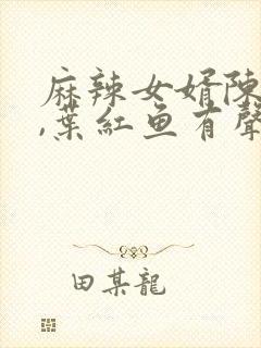 麻辣女婿陈黄皮,叶红鱼有声小说