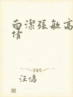 白洁张敏高义孙倩封面