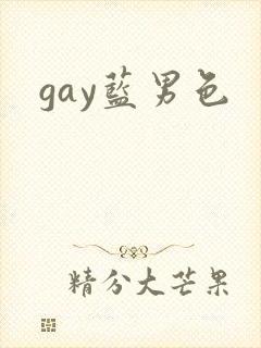 gay蓝男色封面