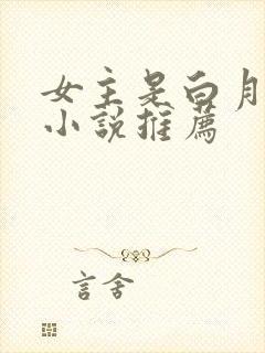女主是白月光的小说推荐封面