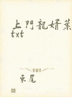 上门龙婿叶公子txt