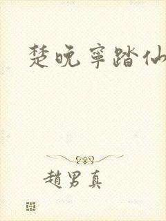 楚晚宁踏仙君