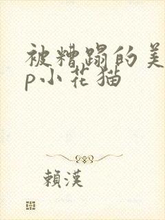 被糟蹋的美人np小花猫