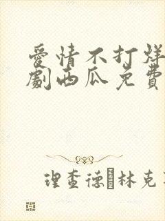 爱情不打烊电视剧西瓜免费观看
