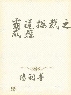 霸道总裁之宠妻成瘾