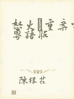 怒火·重案电影粤语版封面