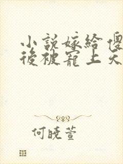 小说嫁给傻王爷后被宠上天