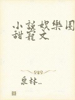 小说娱乐圈隐婚甜宠文