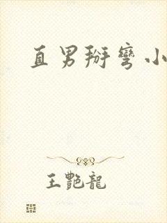直男掰弯小说h