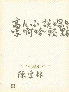 高h小说嗯哈嗯哼啊哈轻点