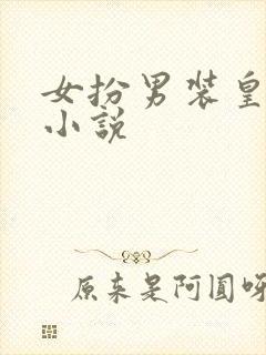 女扮男装皇上的小说