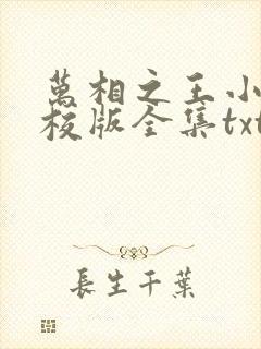 万相之王小说精校版全集txt