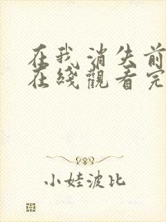 在我消失前电影在线观看完整版