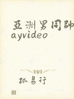亚洲男同帅哥gayvideo