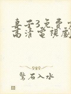 妻子3免费完整高清电视剧封面
