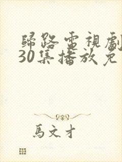 归路电视剧全集30集播放免费观看
