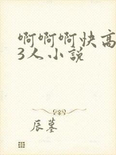啊啊啊快高潮了3人小说封面