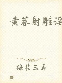 黄蓉射雕淫封面