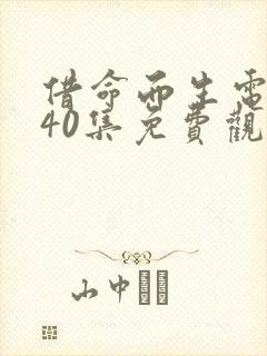 借命而生电视剧40集免费观看
