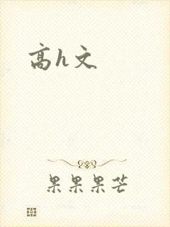 高h文封面
