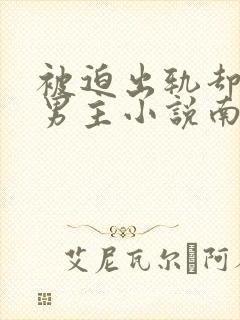 被迫出轨却上瘾男主小说南舒封面