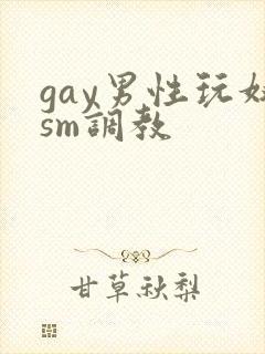 gay男性玩奴sm调教封面