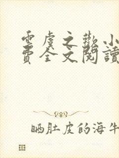 云虞之欢小说免费全文阅读