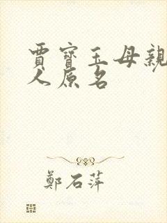 贾宝玉母亲王夫人原名