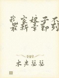 我家娘子不对劲最新章节列表免费