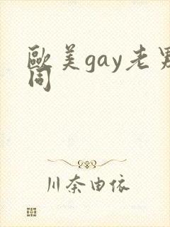 欧美gay老男同封面