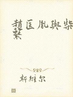 赵匡胤与柴家关系