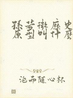 孙若微历史人物原型叫什么封面