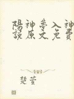 阳神梦入神机小说原文免费阅读