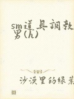 sm道具调教男男(h)