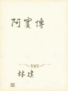 阿宾传封面