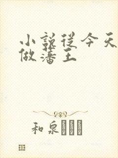 小说从今天开始做藩王封面