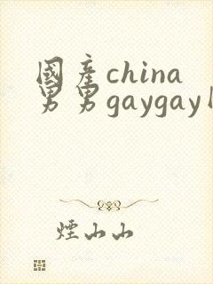 国产china男男gaygay网站封面