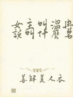 女主叫温冉的小说叫什么名字