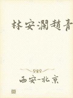林安澜赵青小说