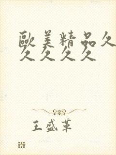 欧美精品久久久久久久久
