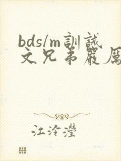 bds/m训诫文兄弟严厉笔趣阁封面