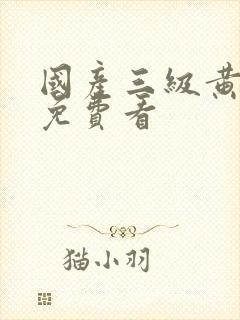 国产三级黄色片免费看